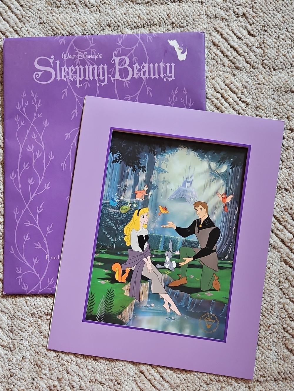 Disney Sleeping Beauty Commemodative Lithograph In Original Envelope